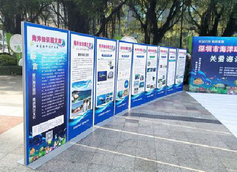  龙游KT板的种类和知识。